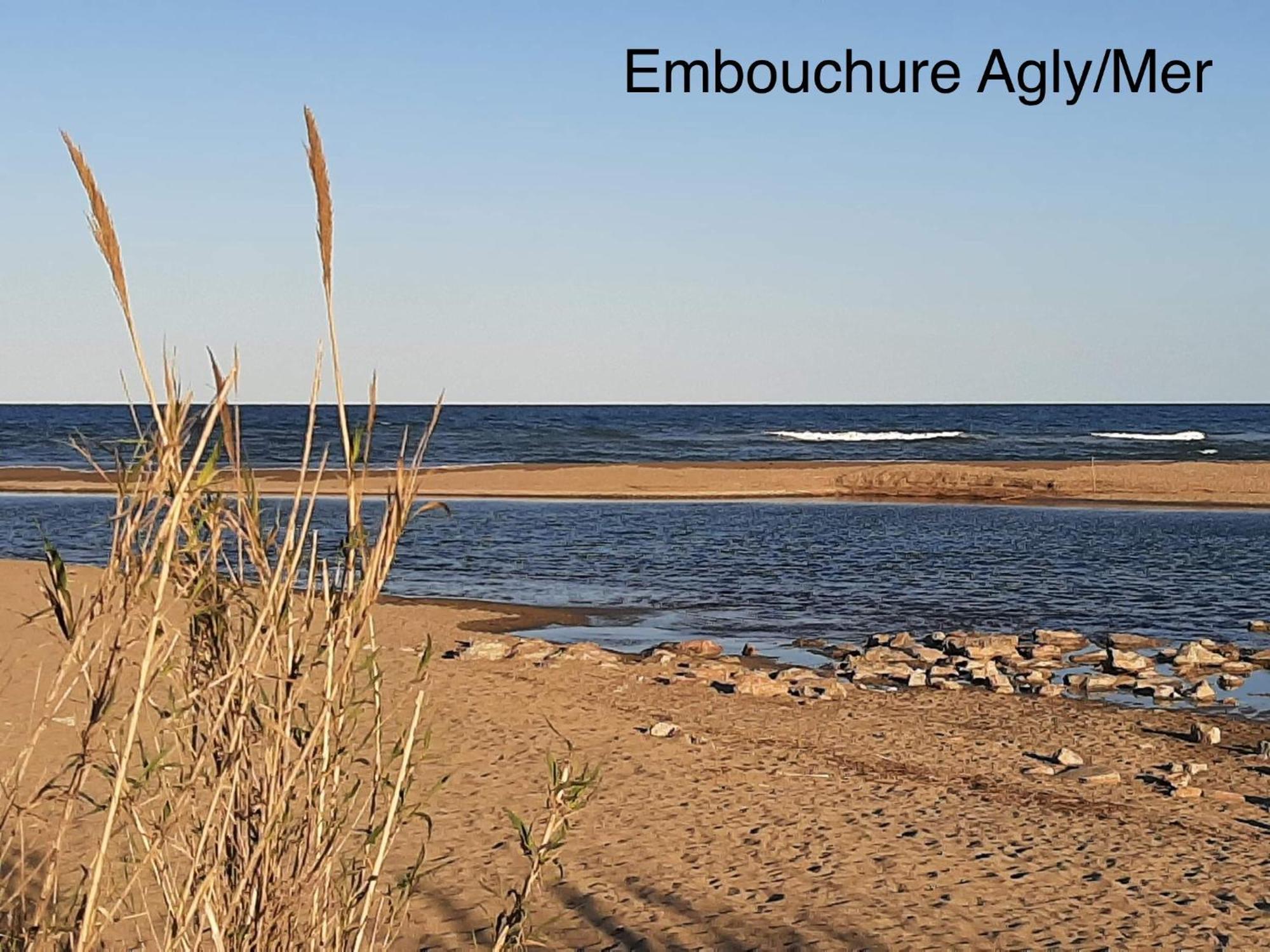 Logement Entier, Calme, Hyper Equipe Saint Laurent de la Salanque Bagian luar foto